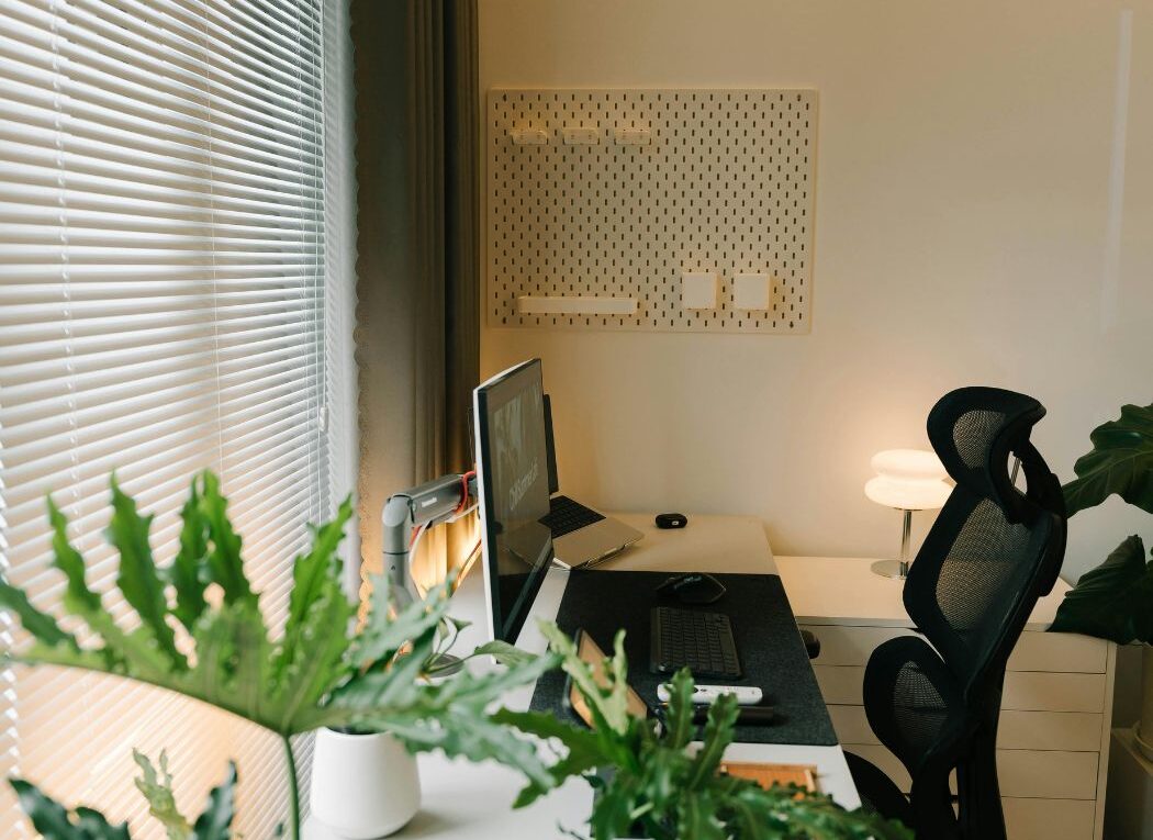 Amazing ways to reduce indoor Pollution