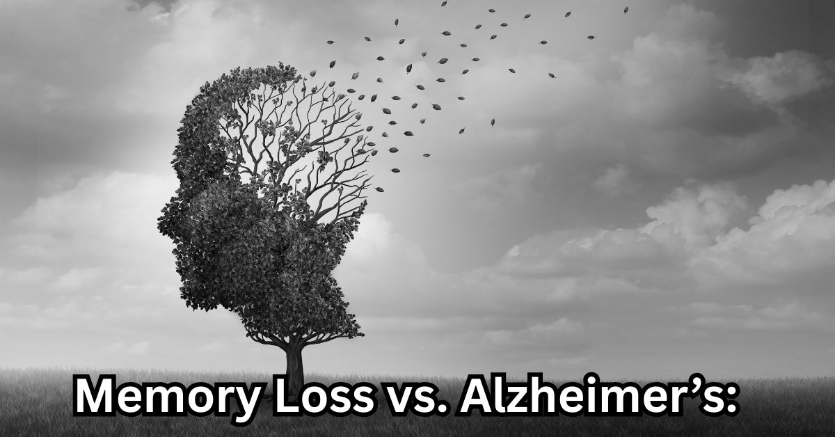 Memory Loss vs. Alzheimer’s: